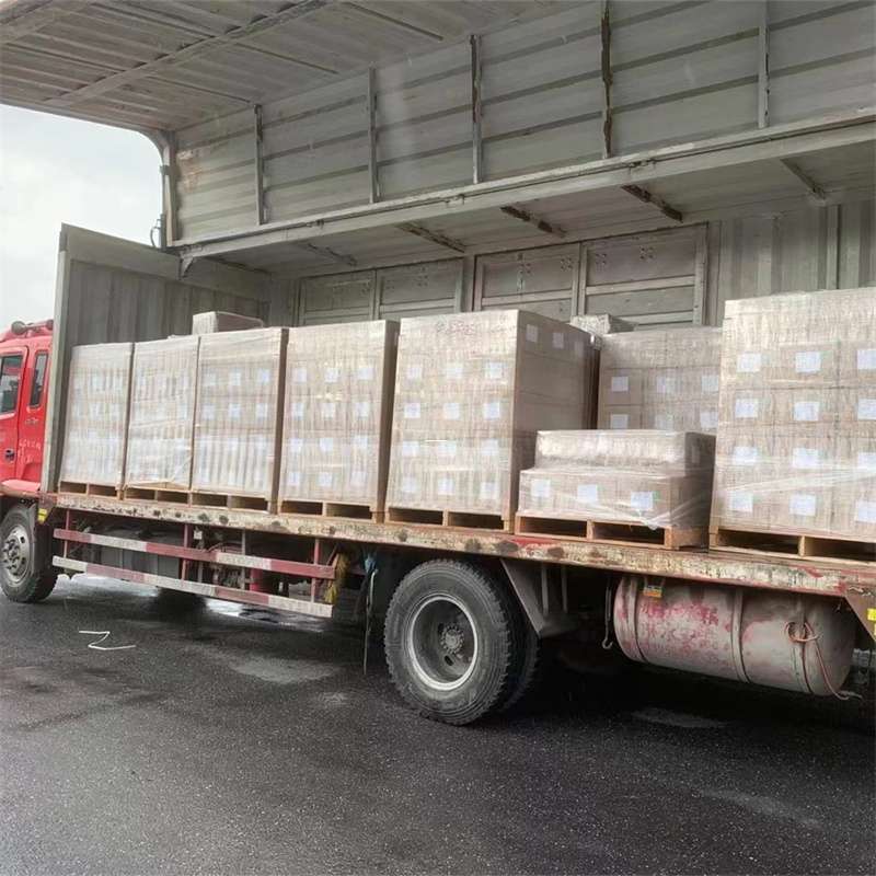 南岸区探索多元物流世界：从普货到冷链的运输之旅