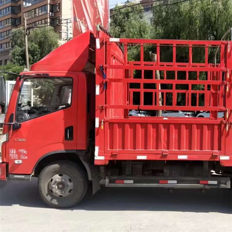 南岸区探秘西乡县进仓物流：专线直达的多元货运之旅