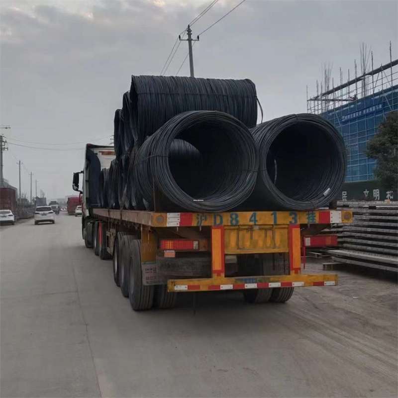 南岸区丽江市物流运输：多元服务与高效线路探秘